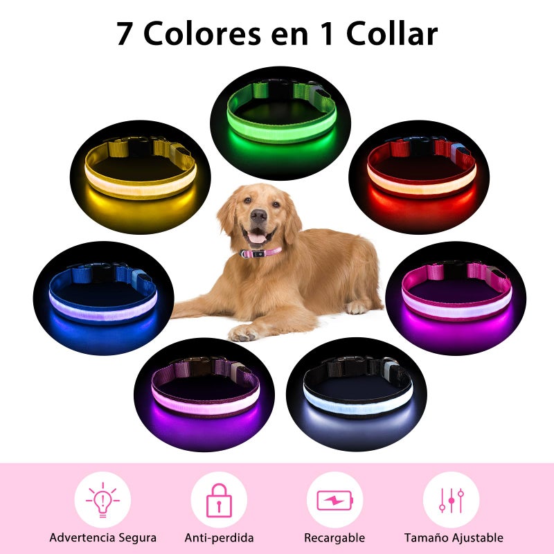 PcEoTllar Light up Dog Collar for Night Walking - LED Dog Collar Light Rechargeable Color Changing, Glow in The Dark Dog Collars Waterproof Glowing Dog Collars for Large Small Medium Dogs - Image 2